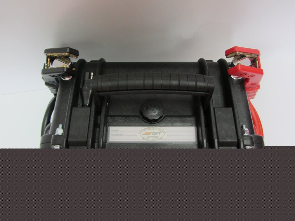 Avviatori Professionali 12/24 V 1
